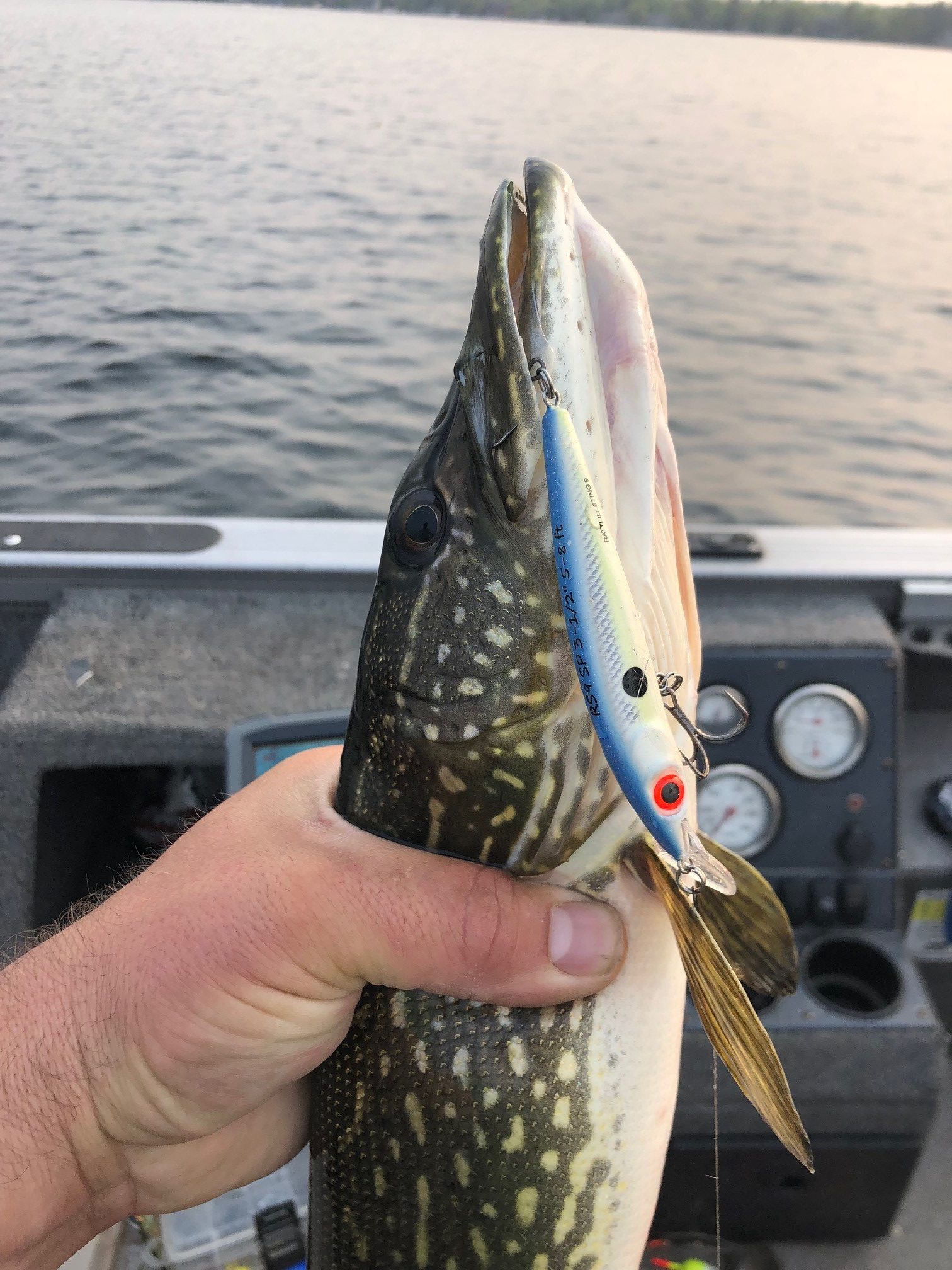 Brainerd Fishing Report: June 5, 2020 - Visit Brainerd