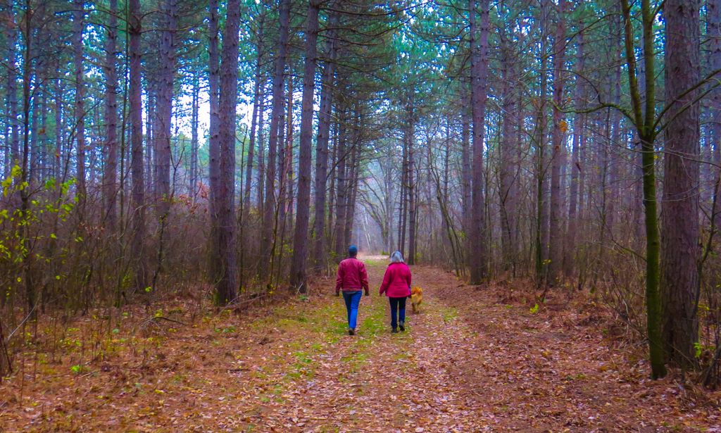 Northland Arboretum - Visit Brainerd