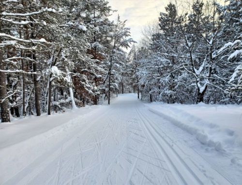 Winter Trails Report – 12/30/21