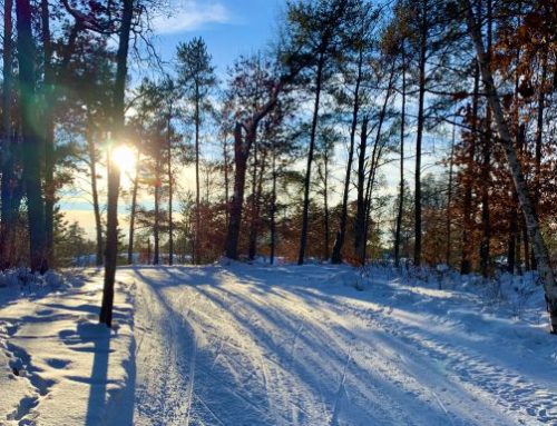 Winter Trails Report – 1-18-22