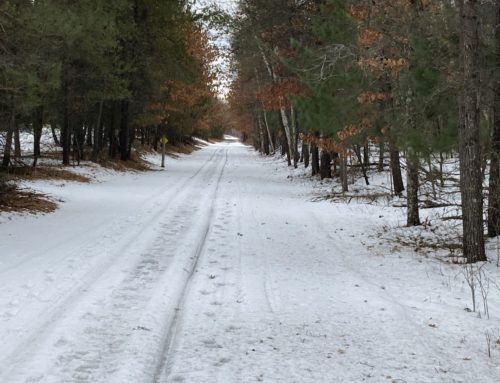 Winter Trails Report – 3-15-22