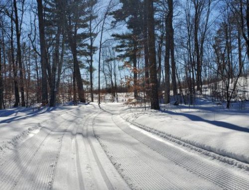 Winter Trails Report – 3-1-22