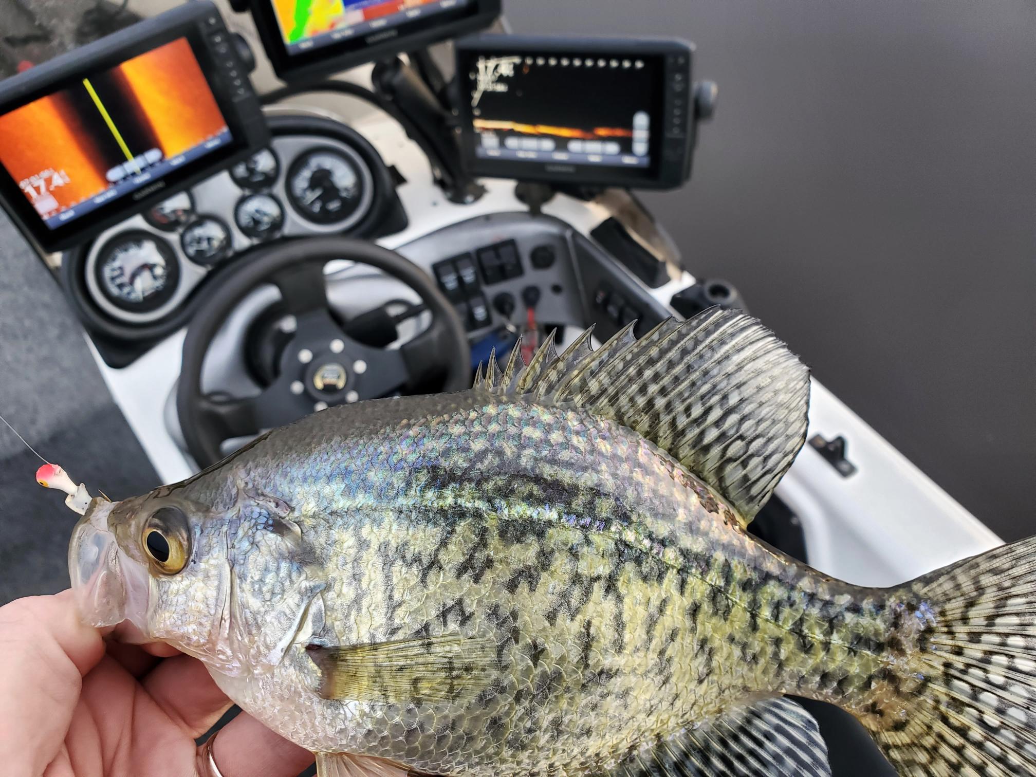 Minnesota Fishing Opener - Visit Brainerd