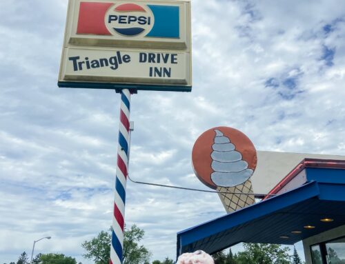 Must Visit Ice Cream Shops in Brainerd