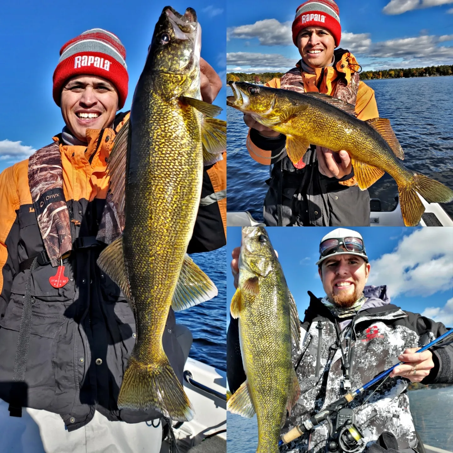 walleye  Vermilion Fishing Report