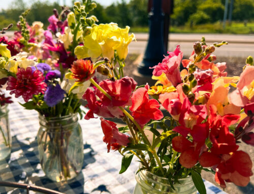 Must Visit Farmers Markets in Brainerd, MN