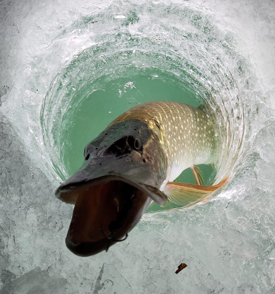Brainerd Ice Fishing Report: January 16, 2024 - Visit Brainerd