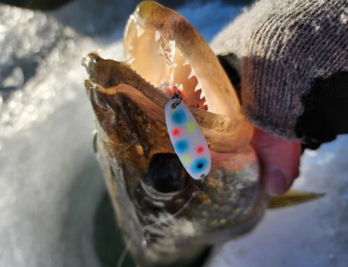 Brainerd Ice Fishing Report: February 6, 2024