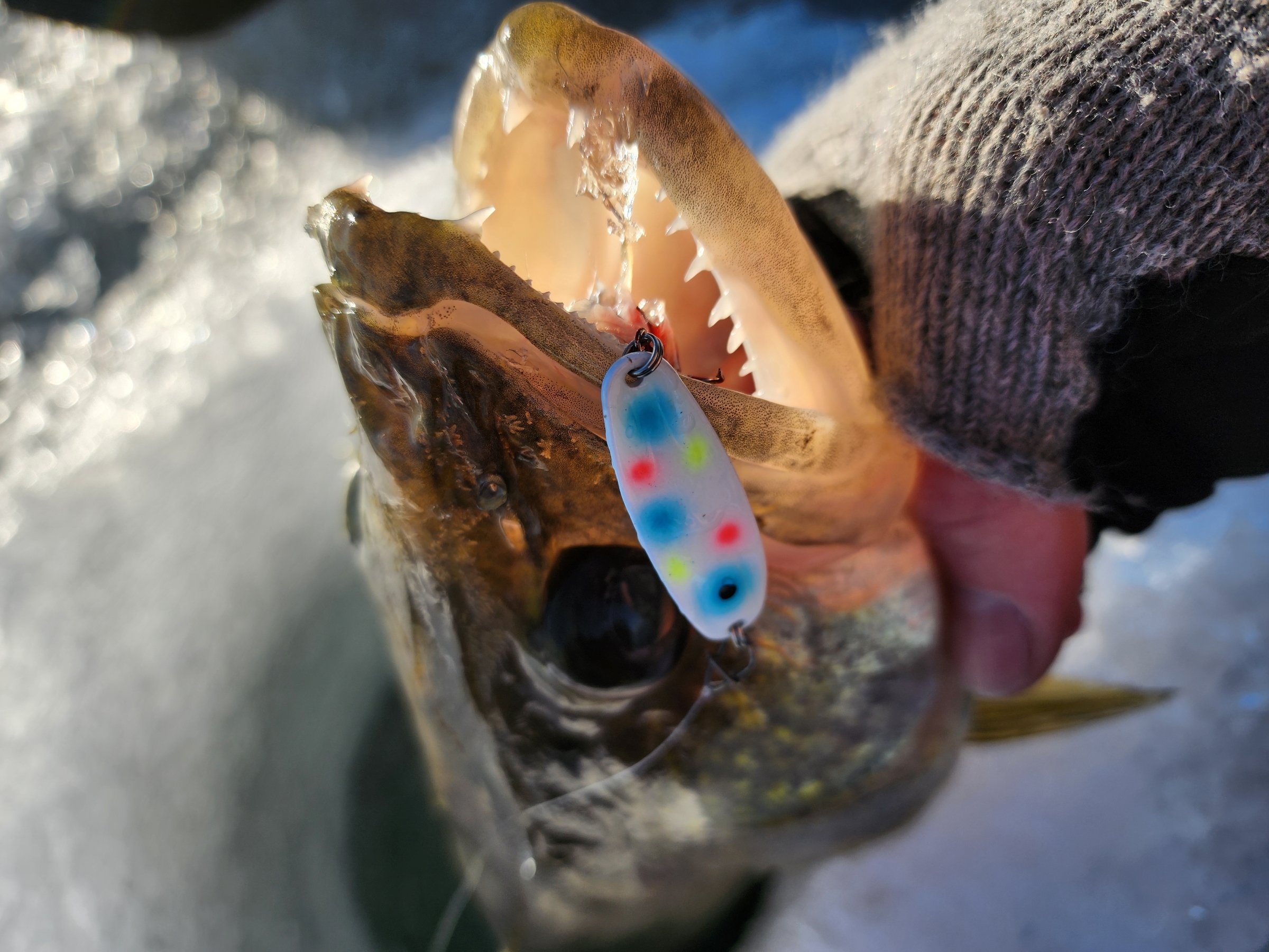 Brainerd Ice Fishing Report: February 6, 2024 - Visit Brainerd