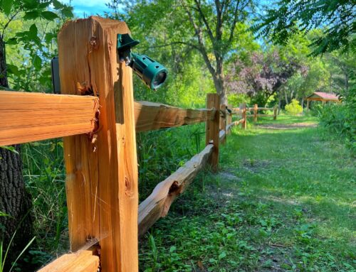 8 Ways to Enjoy the Northland Arboretum This Spring