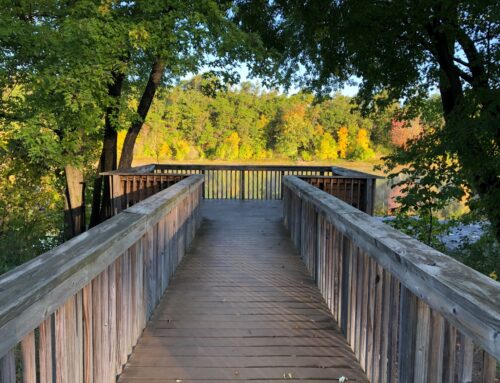 Brainerd Birding Report: September 24, 2024