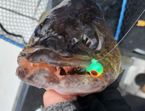 Brainerd Fishing Report: May 27, 2025
